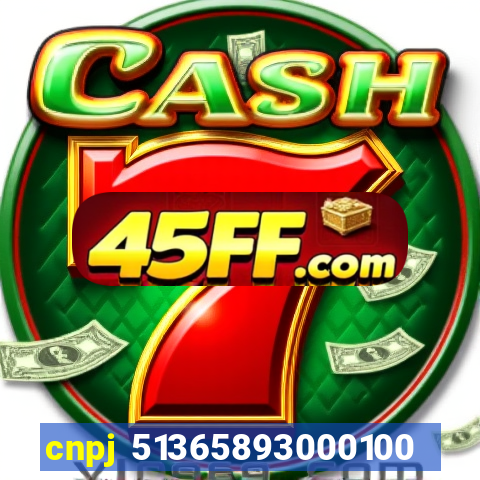 cnpj 51365893000100
